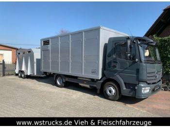Camião transporte de gado para transporte de animais Mercedes-Benz 821L" Neu" WST Edition" Menke Einstock Vollalu: foto 1
