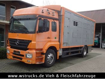 Camião transporte de gado Mercedes-Benz  Axor 1833 2 Stock Michieletto: foto 1