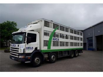 Camião transporte de gado Scania 114-380 8x4 Euro 2 Animal Transport: foto 1
