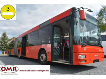 Ônibus urbano MAN A23/Lion's City / 530 G / Citaro / Klima: foto 1