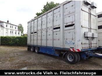 Reboque transporte de gado Menke-Janzen Menke 2 Stock Spindel Viehanhänger: foto 1