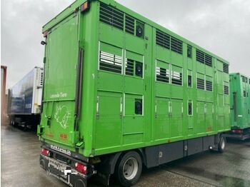 KABA 3 Stock  Vollalu 7,30m  - Reboque transporte de gado