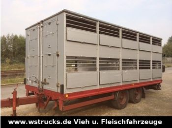 KABA Tandem Einstock  - Reboque transporte de gado