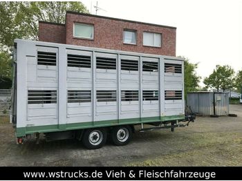 Reboque transporte de gado Stehmann 2 Stock: foto 1