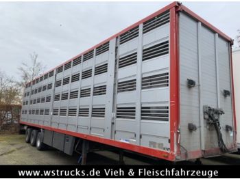 Semi-reboque transporte de gado Menke 4 Stock   Lüfter  Tränk: foto 1